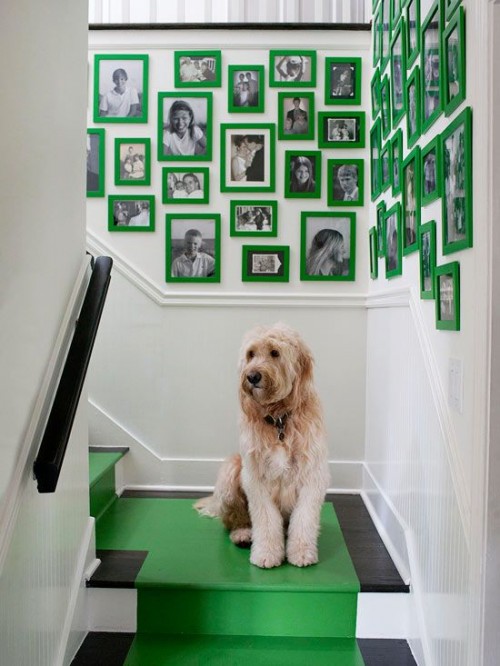 KELLY GREEN Stairwell Photo Wall, Contemporary, entrance/foyer, Melanie Turner Interiors