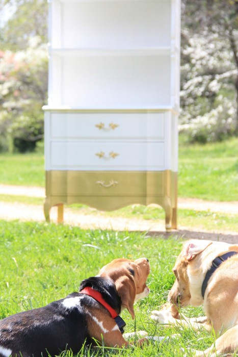 GOLD DIPPED HUTCH FOR PHOEBES ROOM AMKEOVER
