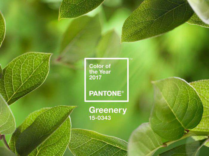 PANTONE 2017 COLOR OF THE YEAR - GREENERY. (forbes.com)